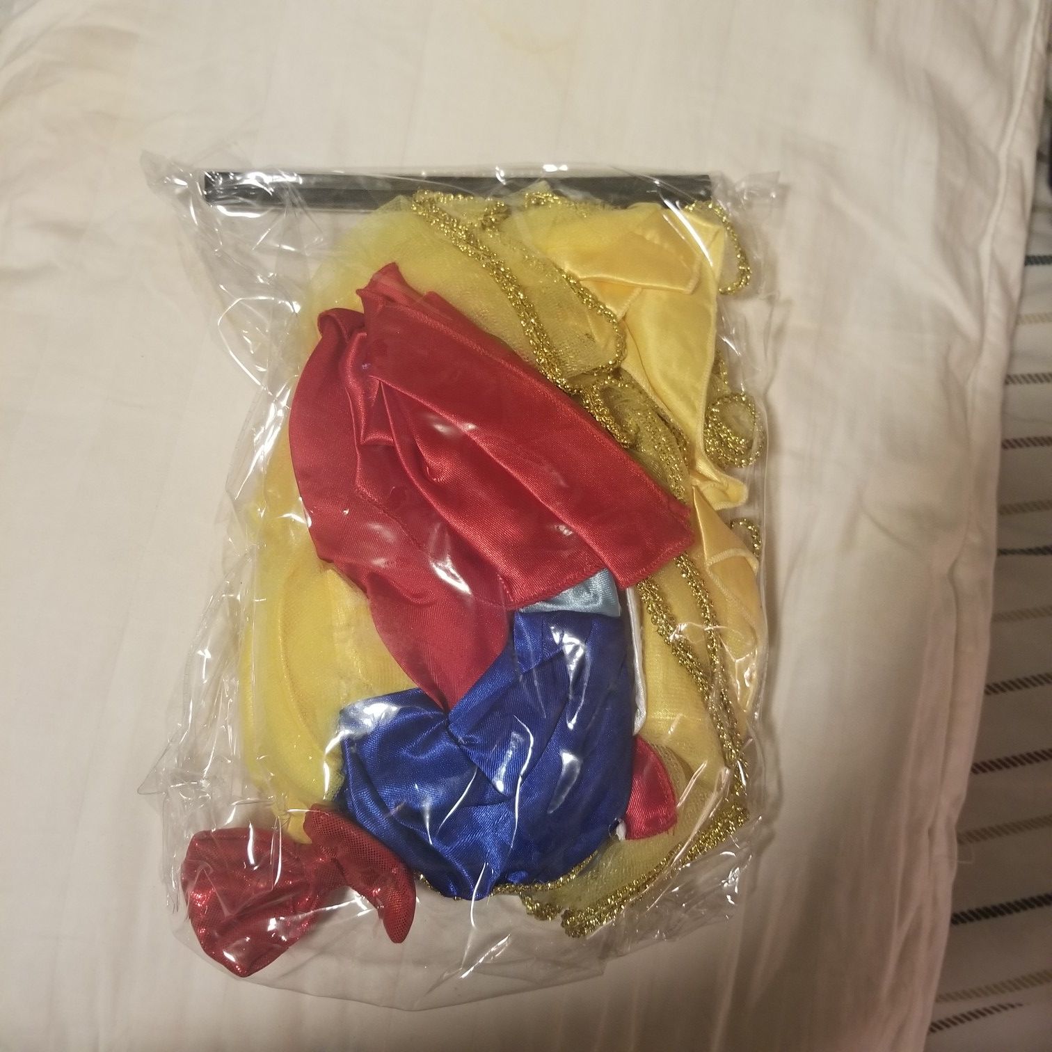 Disney costume!