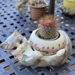 Flower Pot Cat Shape With Real Cactus 