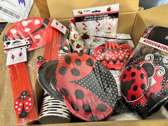Ladybug Party in a Box