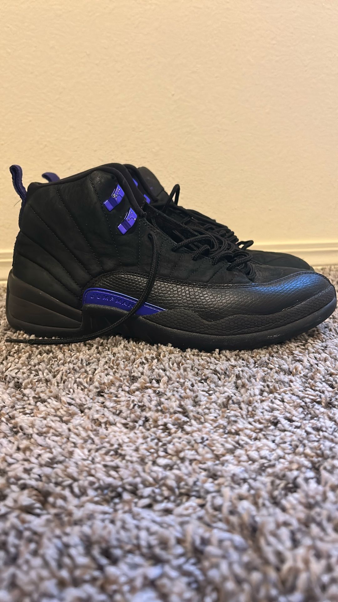 Jordan 12s