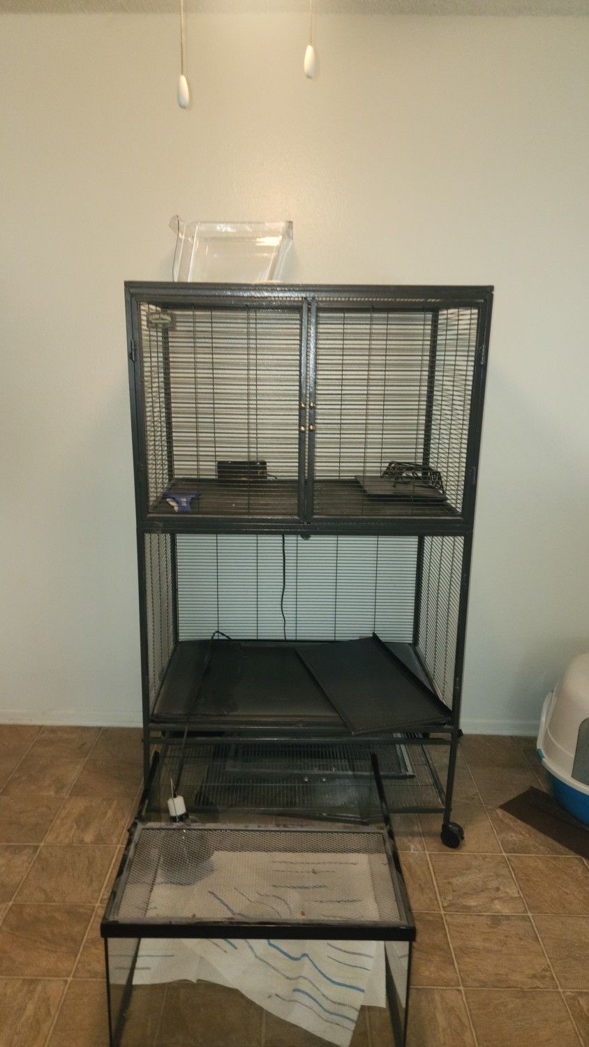 Bird Cage