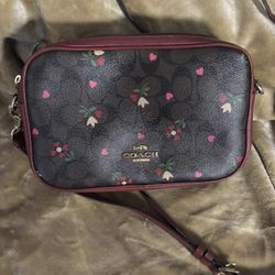 Coach Jes Crossbody in Signature Canvas with Heart Petal Print C7617 Brown