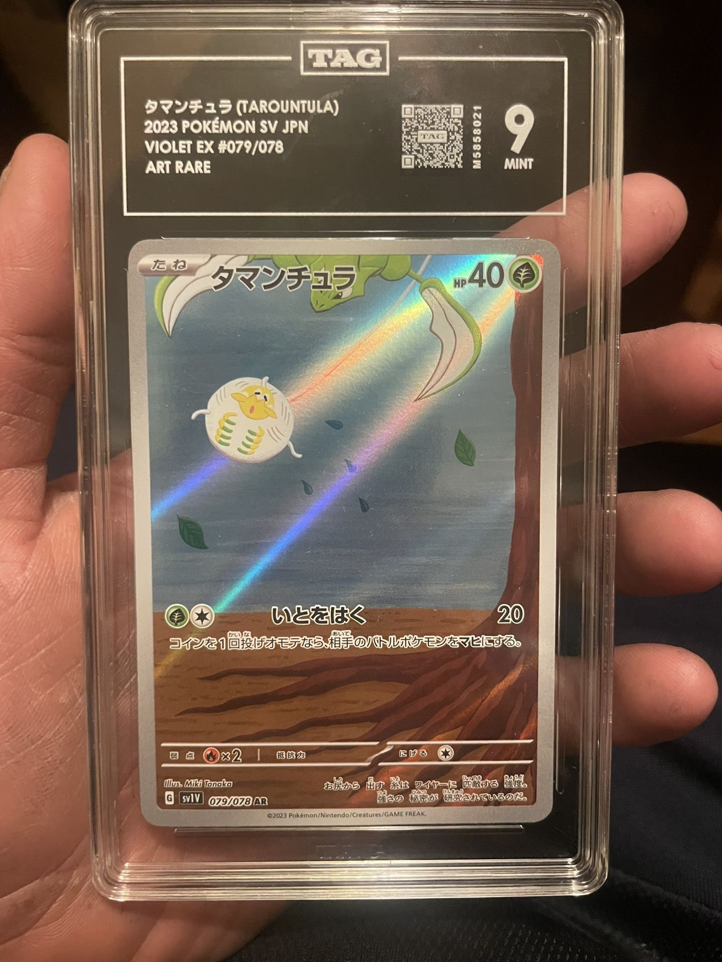 Pokemon Tag Slabs