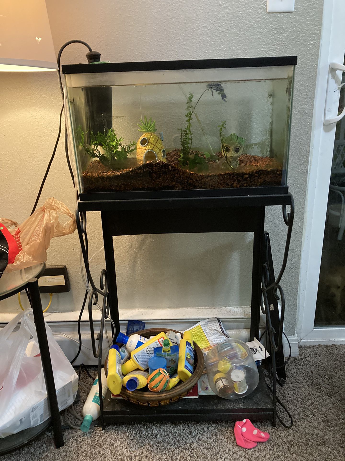 10 Gallon Fish With Stand