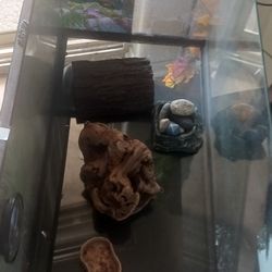 Reptile tank 10 gallon