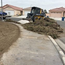 Skid Steer 