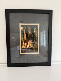 Black Framed Sonoma Canopy Tours Print