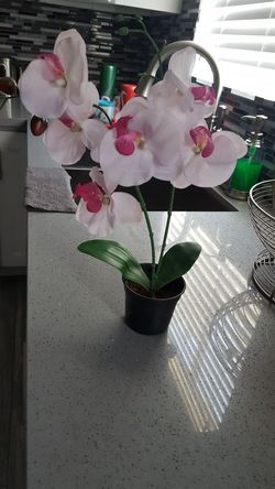 Artificial Plant