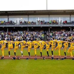 Savannah Bananas Ticket 1 (One) Today 4/28