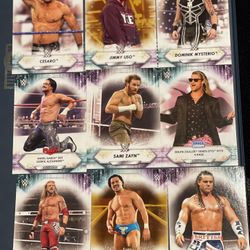 Wwe Trading Card Lot 
