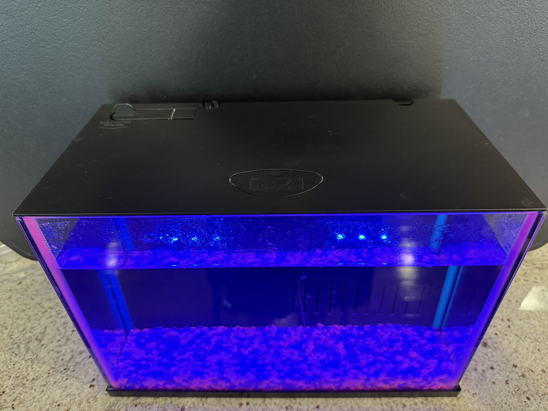 Fish Tank and Rocks