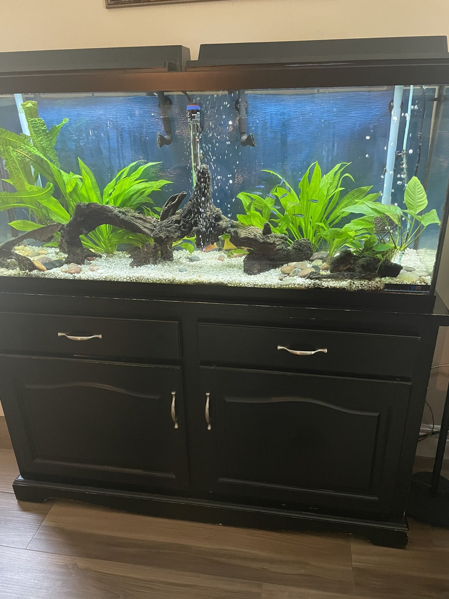 55 Gallon Aquarium Tank 