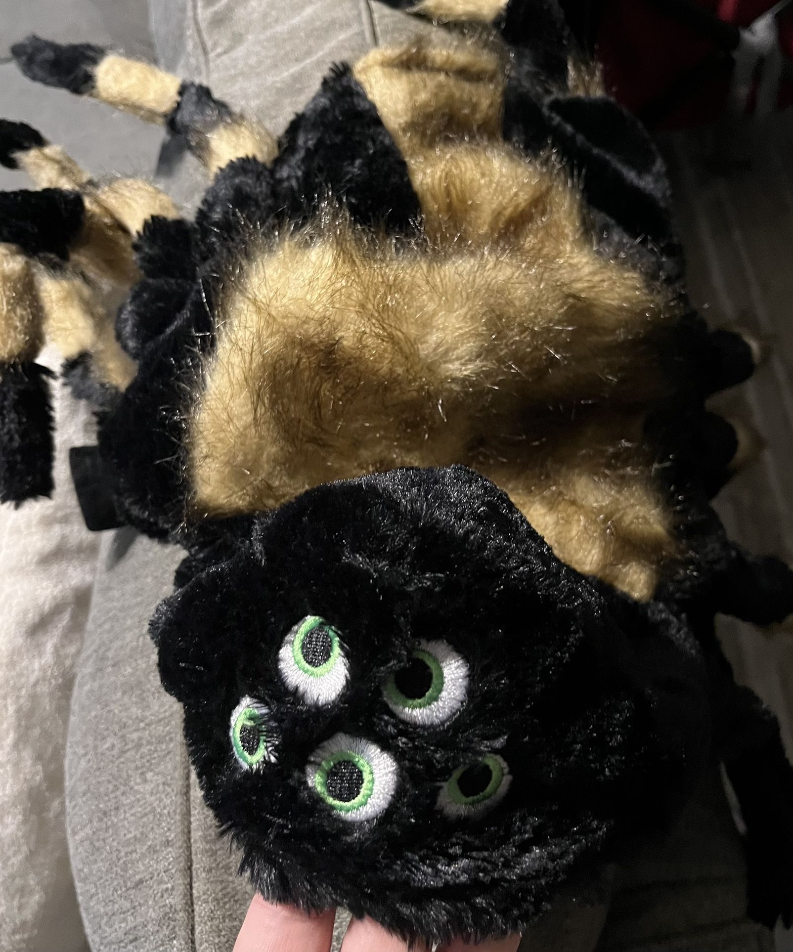 Dog Spider 🕷️ Costume