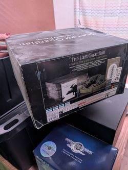 the last guardian