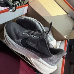 Nike Pegasus 41 Size 9.5 