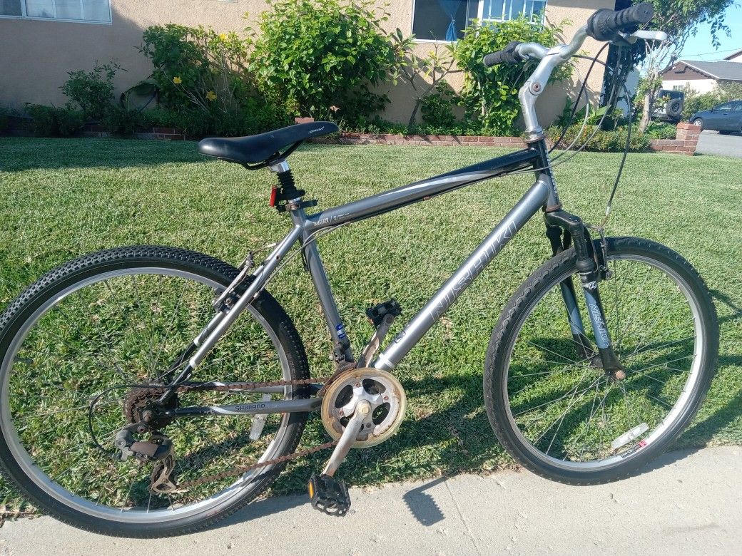 Nishiki Bike Needs Brake Handles Repaired
