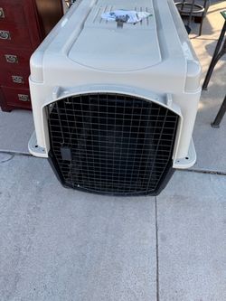 Dog kennel