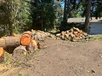 Free Firewood/Rounds - You Haul It/ You Split
