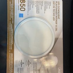 Led Downlight Soft White