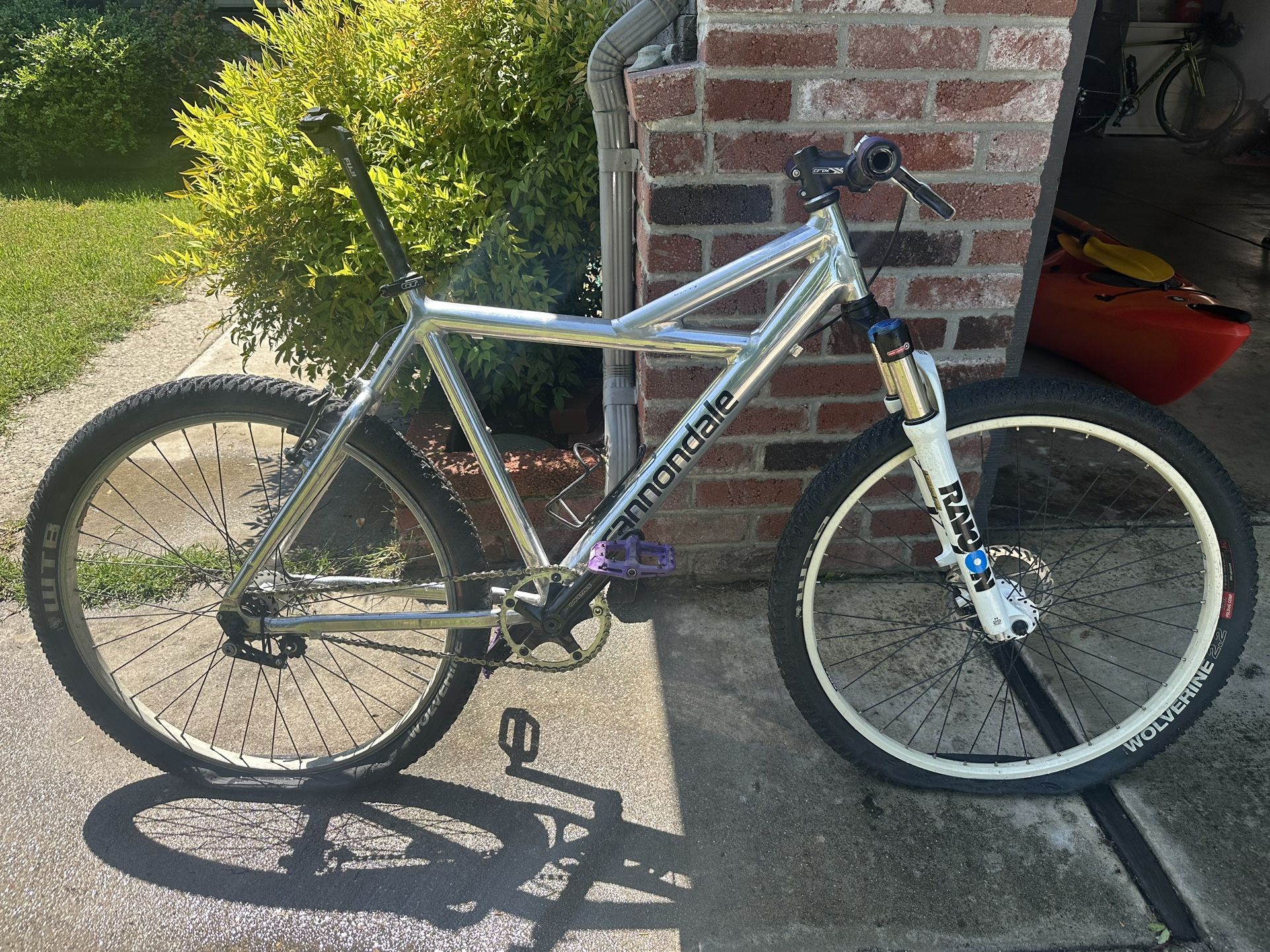 Cannondale Killer V 500 Project Bike