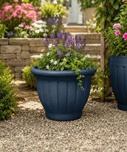 Pot Terracotta Tulip