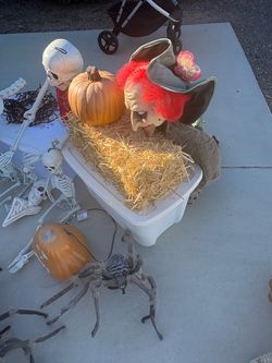 Halloween decorations