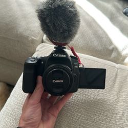 Canon 80D w/ 3 Lenses, RODE VideoMic GO, Manfrotto Tripod, and More