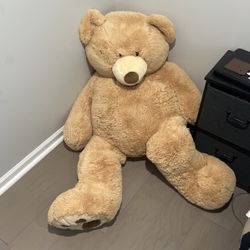 Big Teddy Bear 