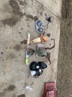 Reptiles accessories