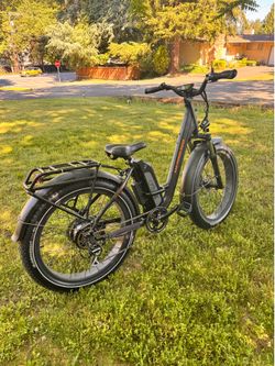RadRover EBike