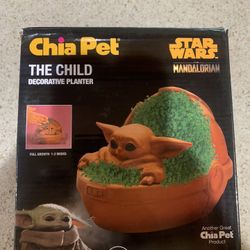 Chia Pet