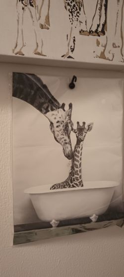 Giraffe frames