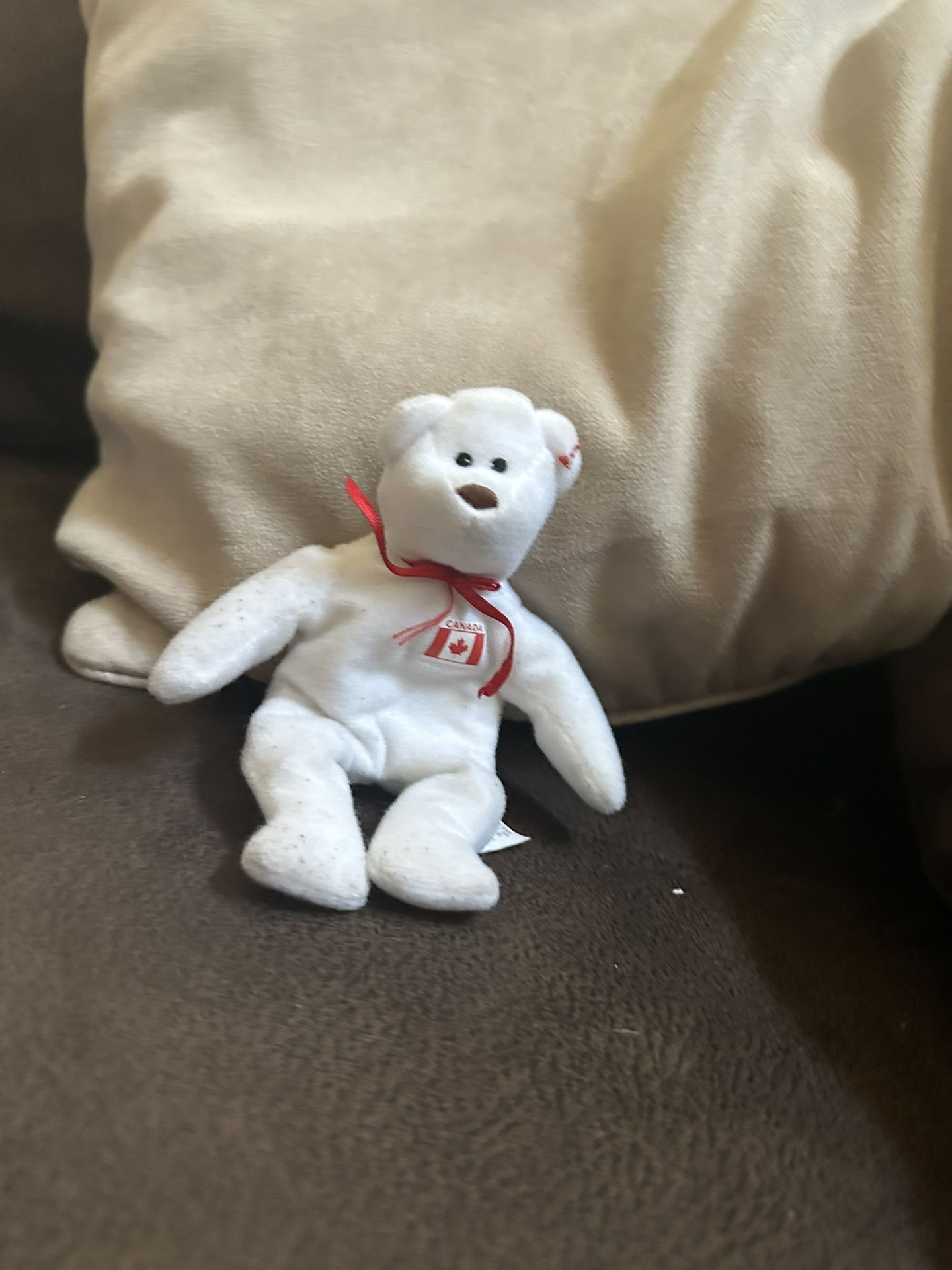 Cute White Teddy Bear