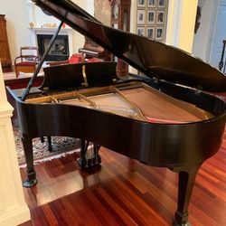 Steinway & son's baby grand piano model M free 
