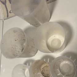 Six Clear Orchid Pots with Holes Assorted Sizes