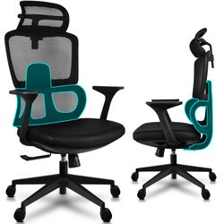 Ergonomic Office Chair with Lumbar Support, Adjustable Executive Desk Armchair with Tall Back Mesh & Headrest