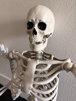 Life-Size Skeleton & Halloween Decor Bundle / Lights / Sign