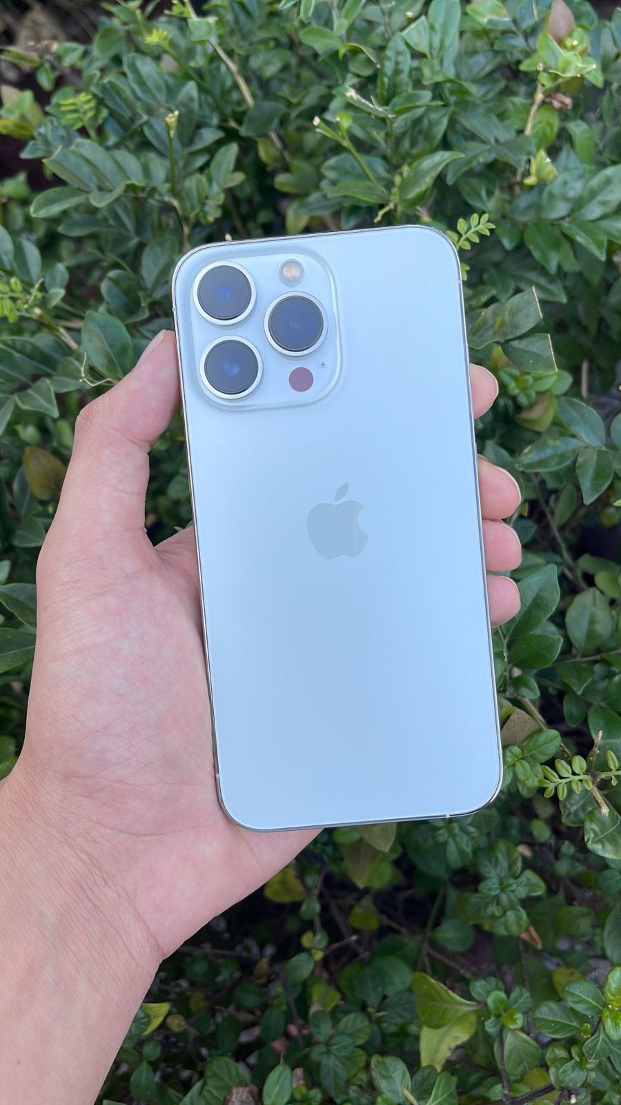 iPhone 13 Pro (512GB)