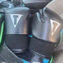 Title Boxing Gloves 16oz. Used