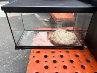Reptile terrarium