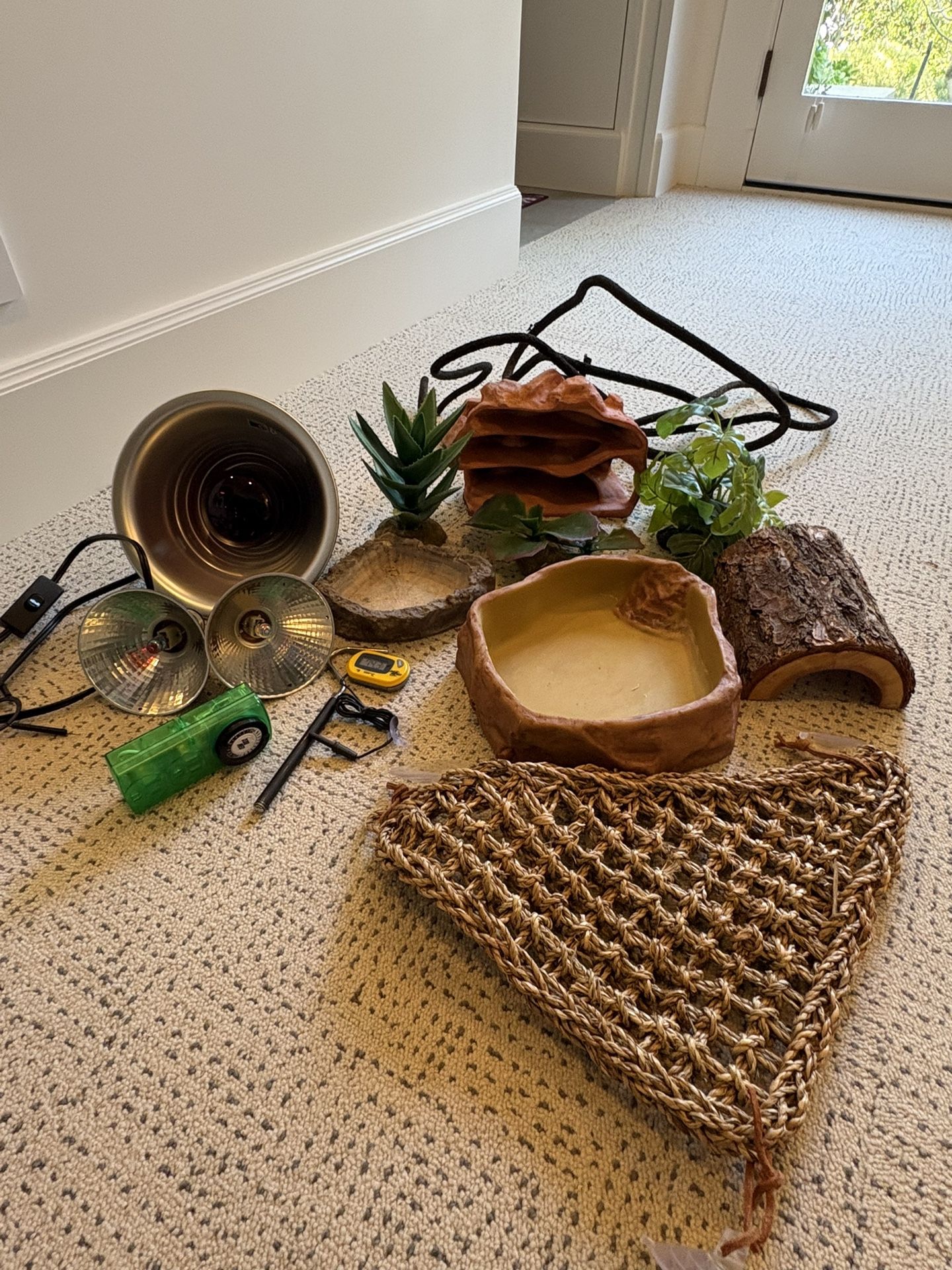 Corn Snake Essential Supplies