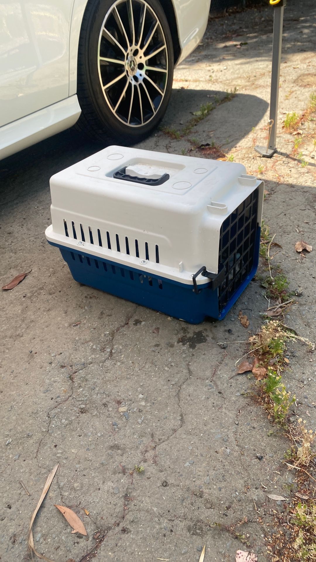Dog Carrier
