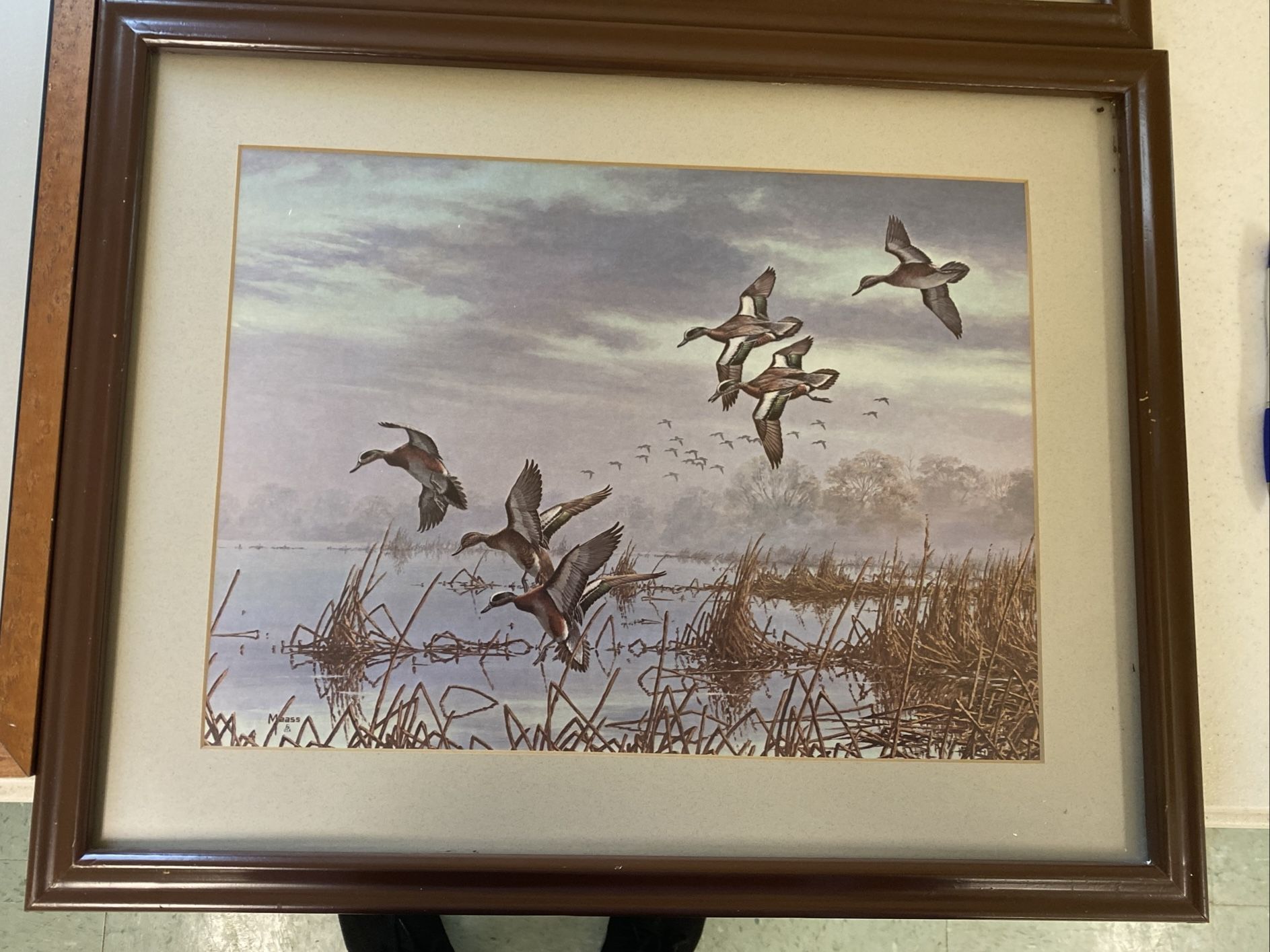 David a Maass Print