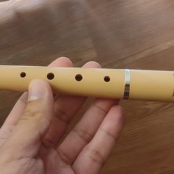 Mie renaissance recorder outlet