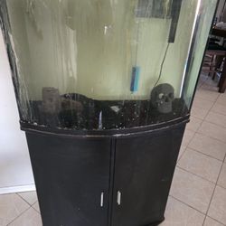 36 Gallon Fish Tank With Stand