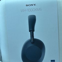 Sony Wh 100xm6 Head Phones