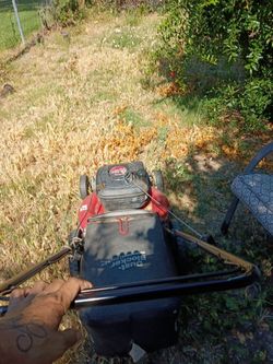 Lawnmower works great