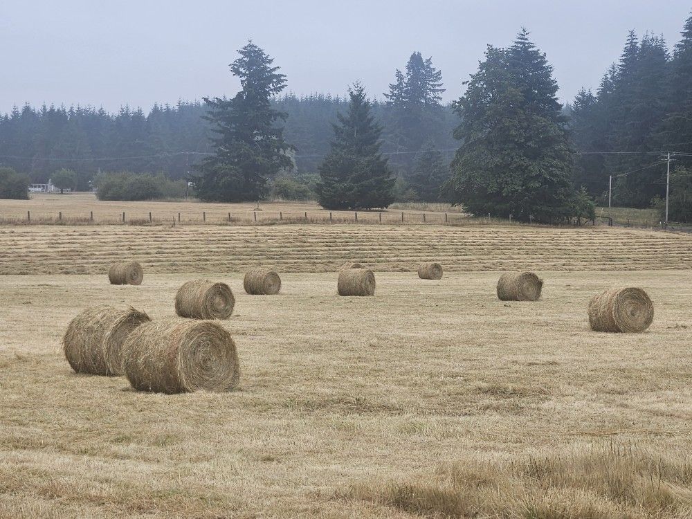 Round Hay Bales