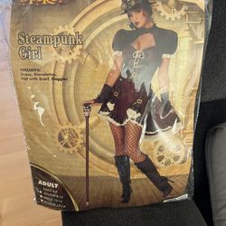 Steampunk Girl Costume 