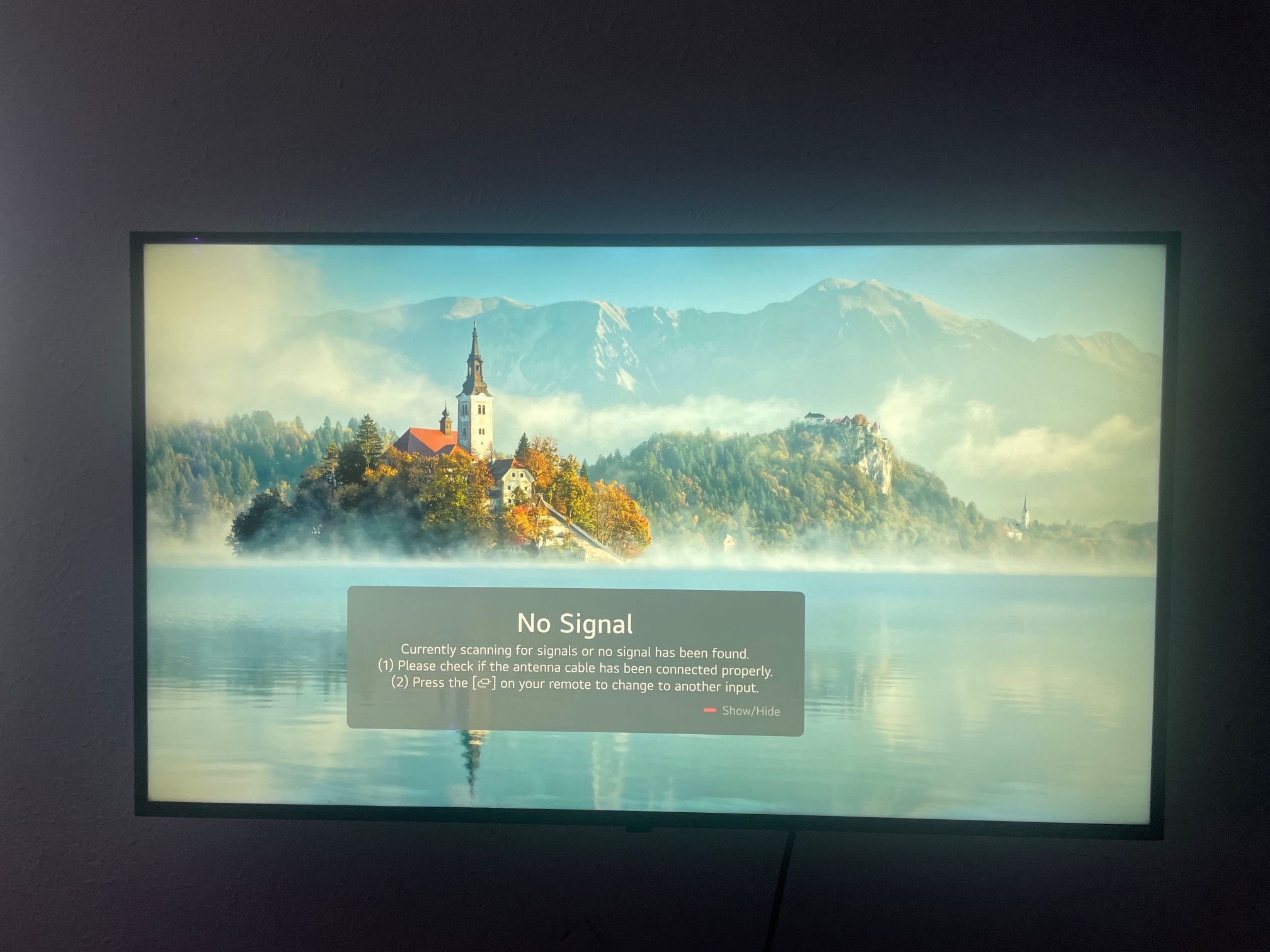 Lg 43 inch flat screen